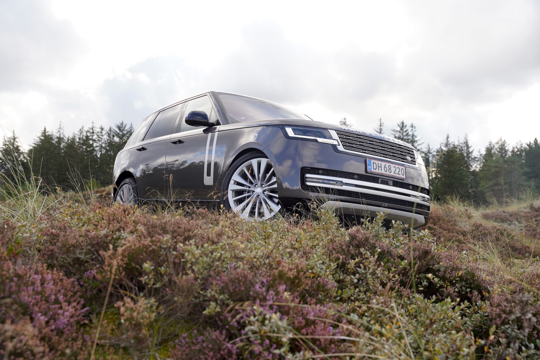 Radica Rover radicalmag